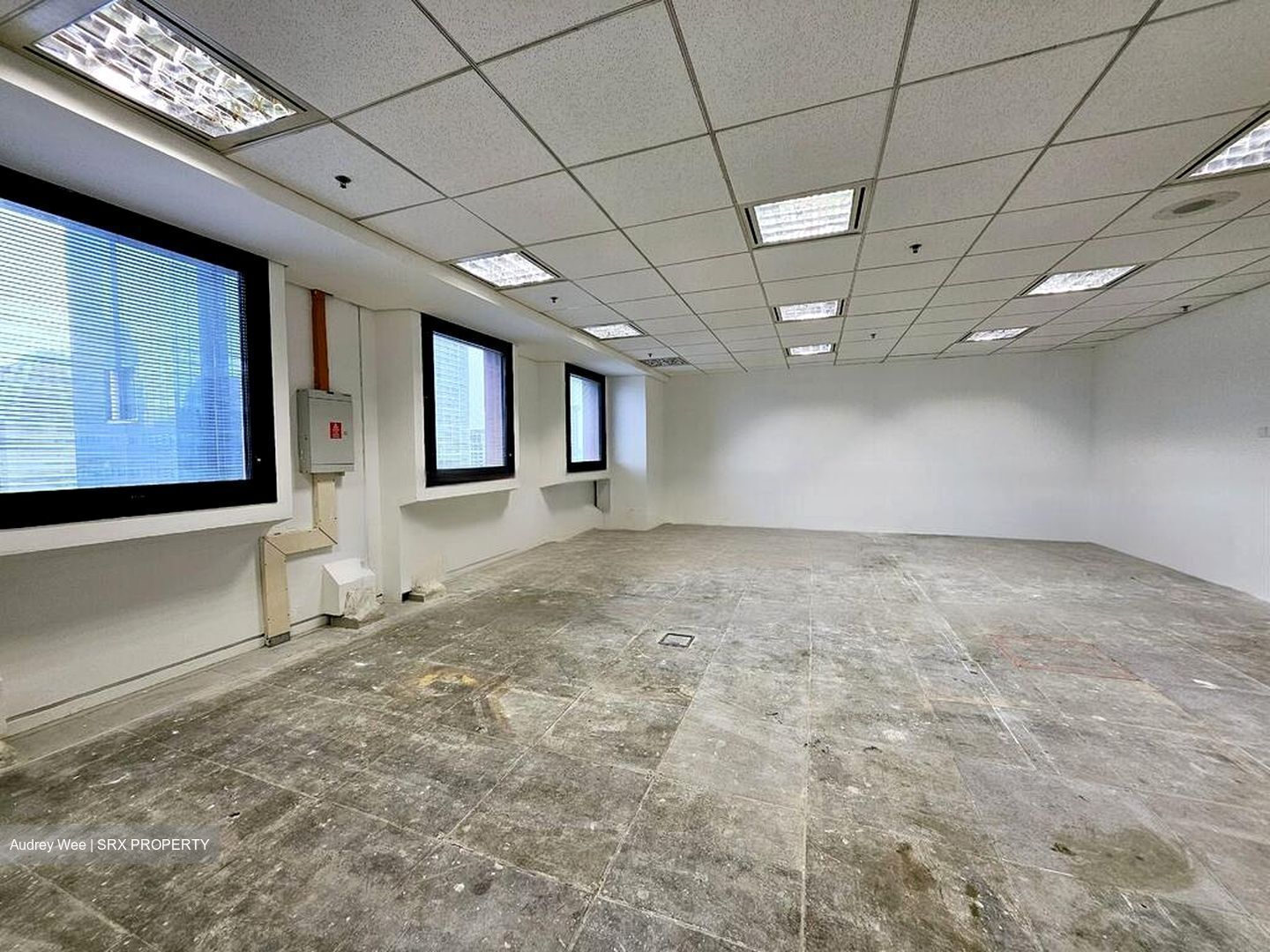 Ngee Ann City (D9), Office #483253871